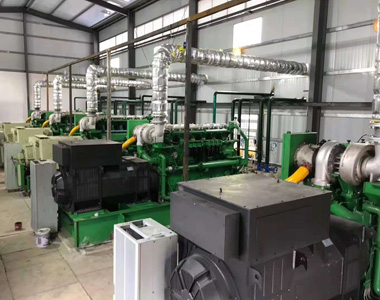 云南某发电项目配牛博在线登录官网800kw/10.5kv 高压发电机