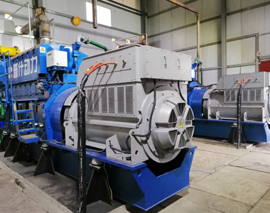 丰都甘泰沼气发电项目配牛博在线登录官网2台850KW/10.5KV6极高压发电机
