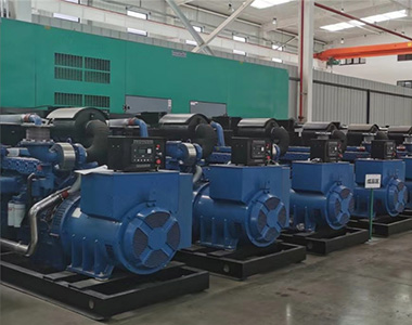 牛博在线登录官网500KW/400V陆用发电机应用于某养殖场项目