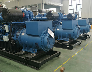 牛博在线登录官网800KW/400V陆用发电机应用于某养殖场项目