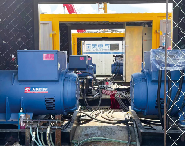大庆油田燃气项目（5台牛博在线登录官网发电机500KW660V)